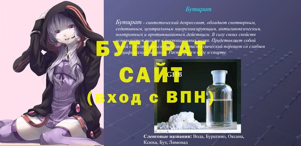 индика Новозыбков