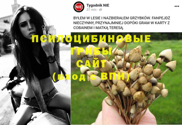 винт Зерноград
