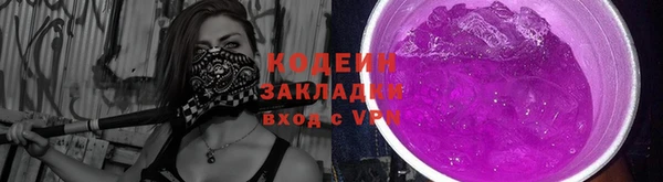 индика Новозыбков