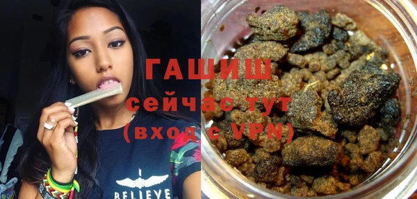 индика Новозыбков