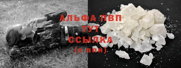 индика Зеленокумск