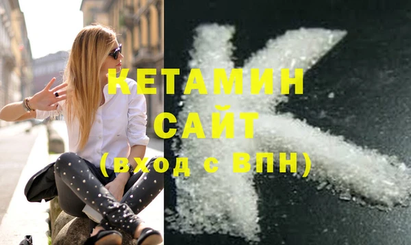 индика Новозыбков