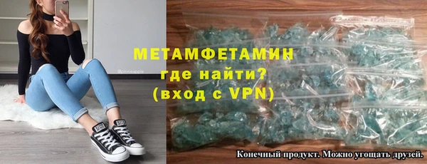 индика Новозыбков