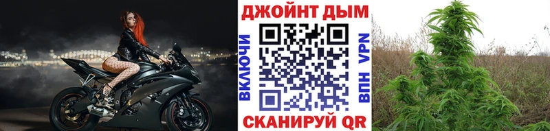 Конопля марихуана  Талица 